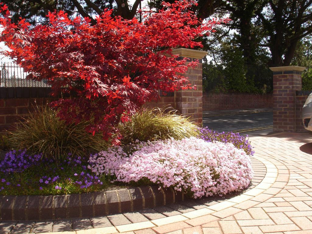 Pineview Guesthouse Poole Esterno foto